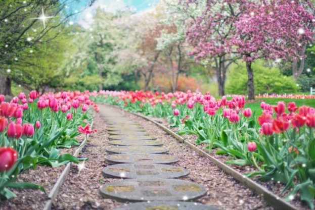 Flower Wallpaper HD 1080p for mobile Desktop 22 love flower wallpaper
