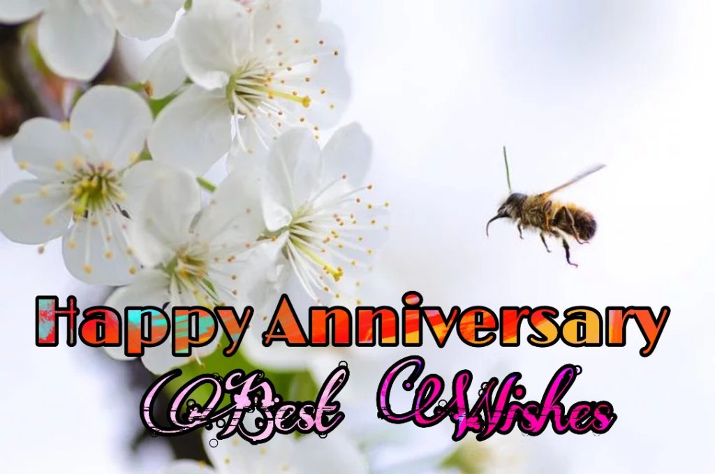 121+ Happy Wedding Anniversary Images 2023 5 happy wedding anniversary images free download