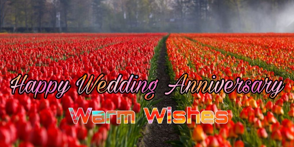 121+ Happy Wedding Anniversary Images 2023 13 happy anniversary wishes