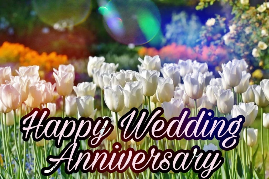 happy wedding anniversary images
