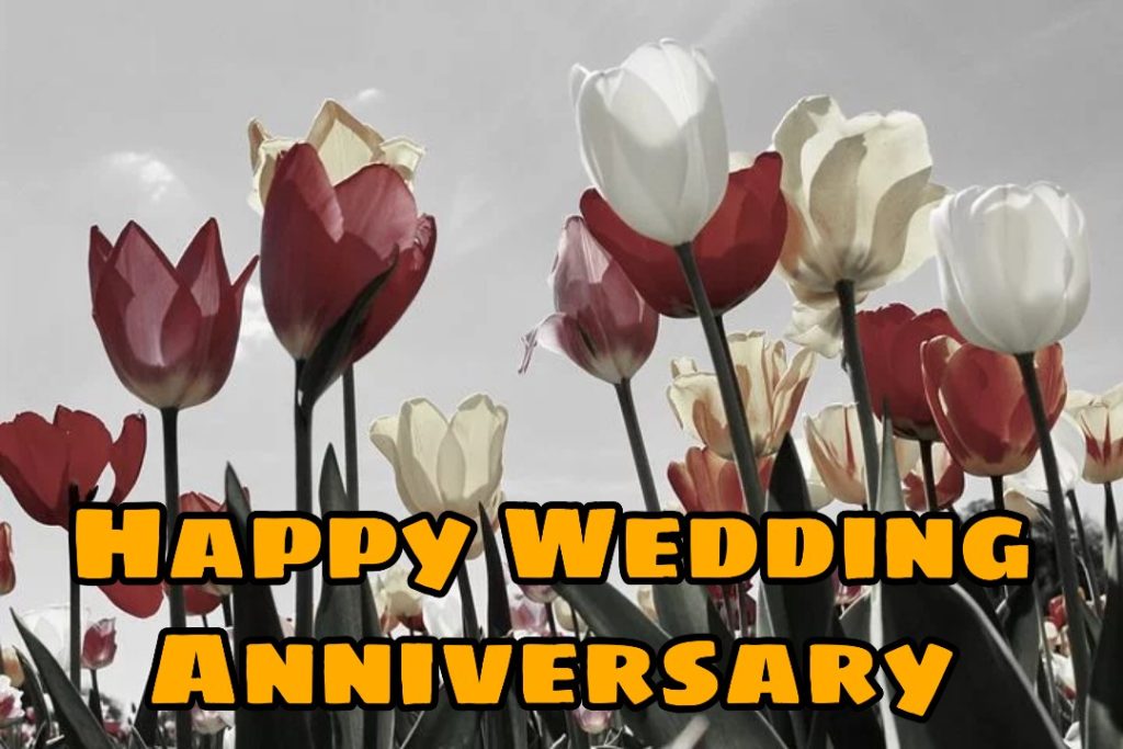 happy wedding anniversary images hd
