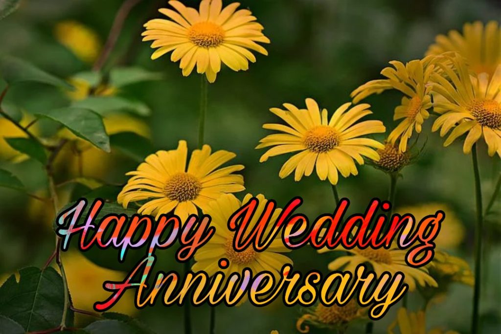 121+ Happy Wedding Anniversary Images 2023 9 happy anniversary images