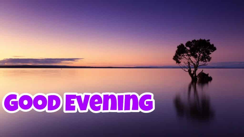 Best Good Evening Images for Whatsapp in 2021 26