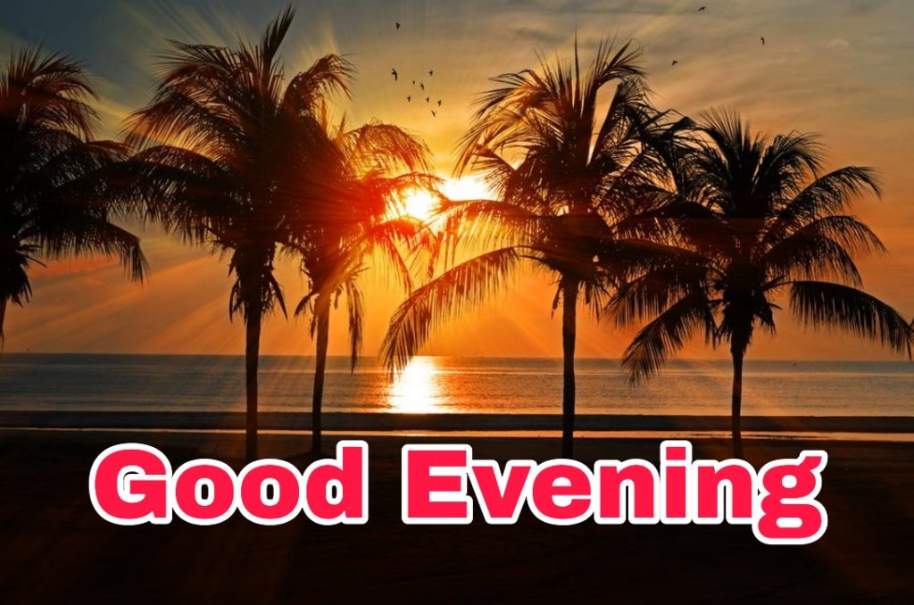 99+ Good Evening Images 2023 - Latest Collection 67 99+ Good Evening Images 2023 - Latest Collection 66