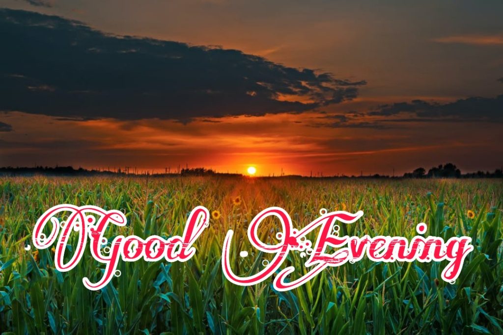 99+ Good Evening Images 2023 - Latest Collection 64 99+ Good Evening Images 2023 - Latest Collection 63