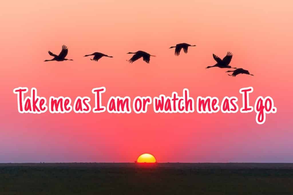 66+ New Whatsapp Status Quotes Images 2023 18 66+ New Whatsapp Status Quotes Images 2023 17
