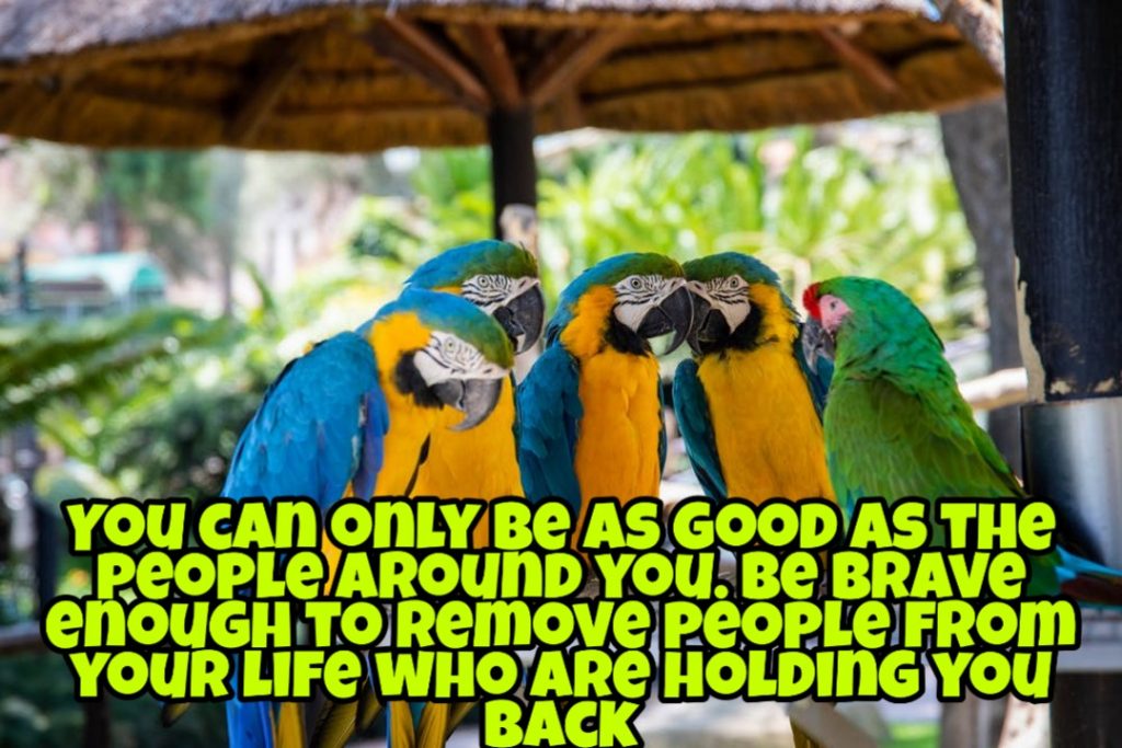 1001+ Latest Whatsapp DP Images 2023 66 1001+ Latest Whatsapp DP Images 2023 61