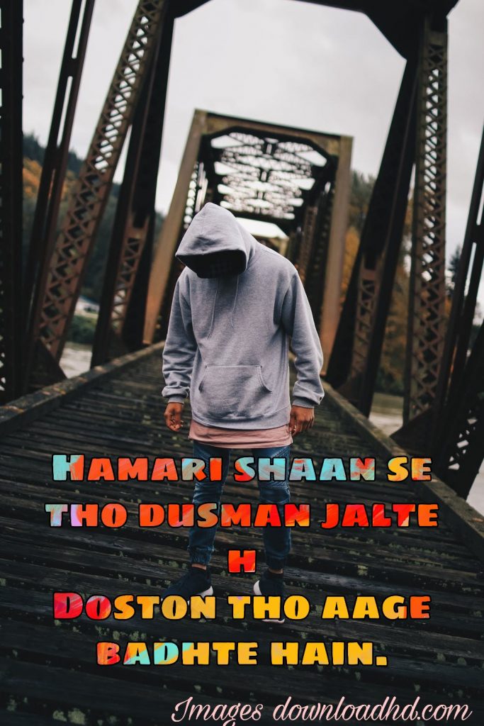 1001+ Latest Whatsapp DP Images 2023 42 1001+ Latest Whatsapp DP Images 2023 37