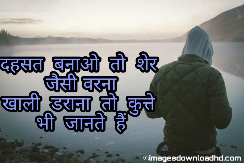 1001+ Latest Whatsapp DP Images 2023 29 1001+ Latest Whatsapp DP Images 2023 29