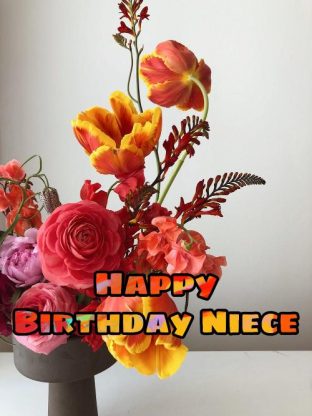 165+ Happy Birthday Niece Images 2023 5 wish your niece