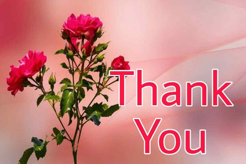 88+ Thank You Images for ppt and Slide 2023 60