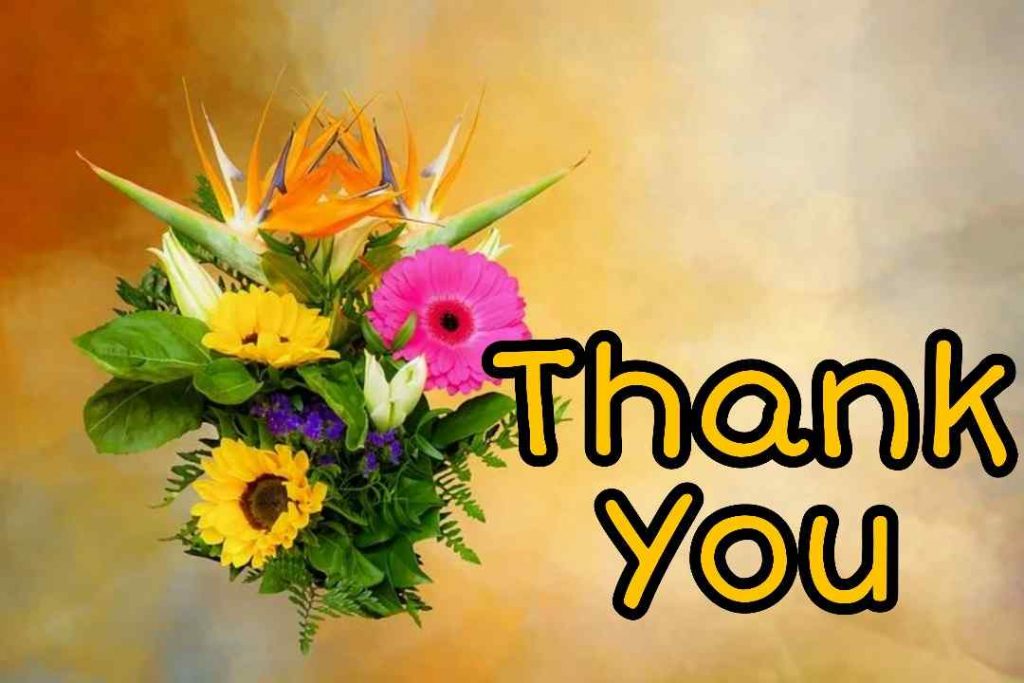 88+ Thank You Images for ppt and Slide 2023 13