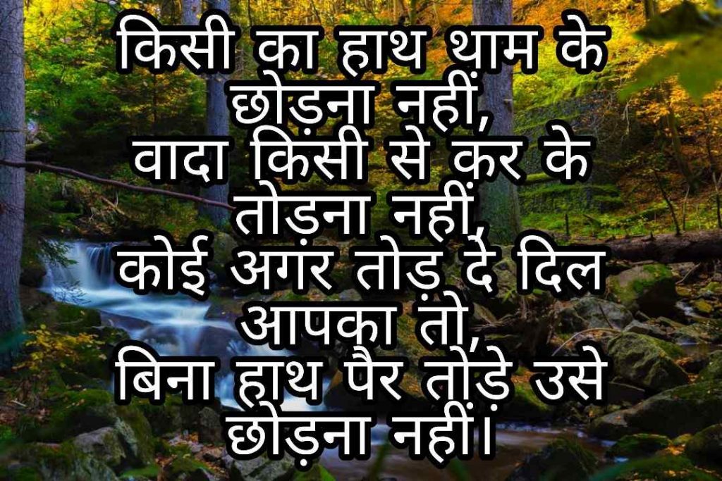 103+ Best Love Shayari Images 2023 53 103+ Best Love Shayari Images 2023 53