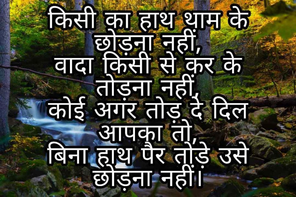 103+ Best Love Shayari Images 2023 53