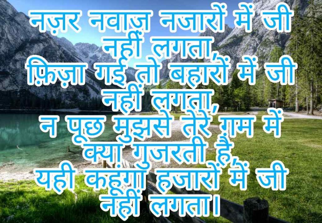 103+ Best Love Shayari Images 2023 47