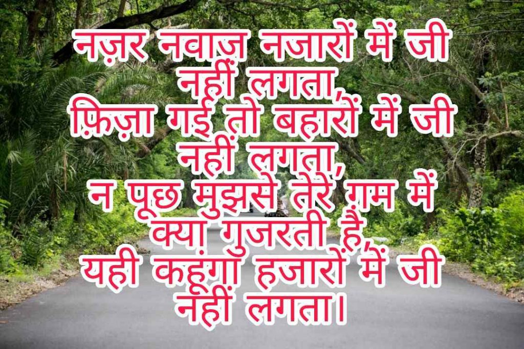 103+ Best Love Shayari Images 2023 49