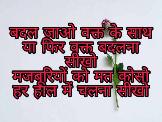 103+ Best Love Shayari Images 2023 59