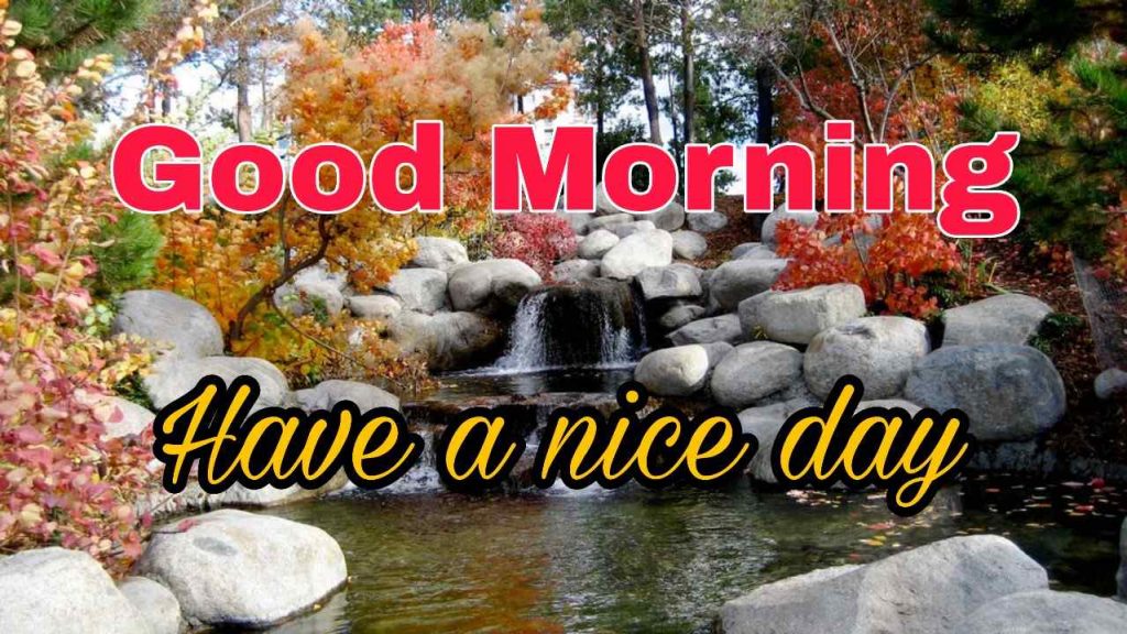 144+ Good Morning Nature Images 2023 4