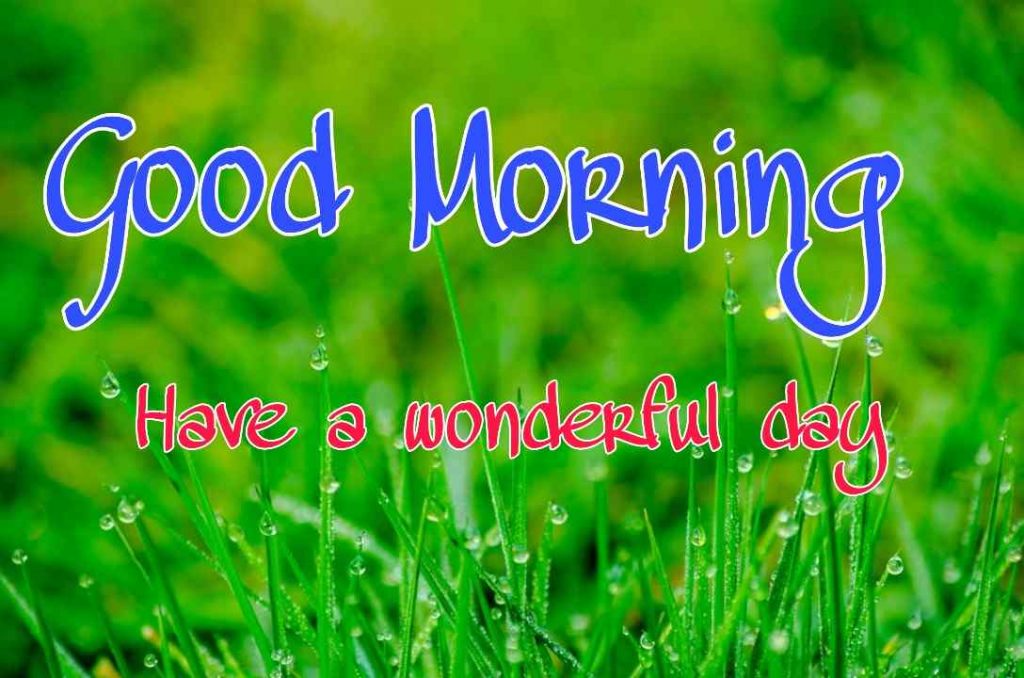 144+ Good Morning Nature Images HD Quotes Wishes 2023 6