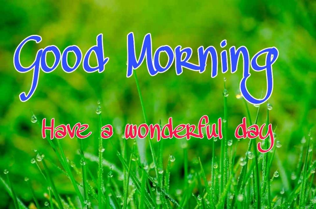 144+ Good Morning Nature Images 2023 7 144+ Good Morning Nature Images 2023 7