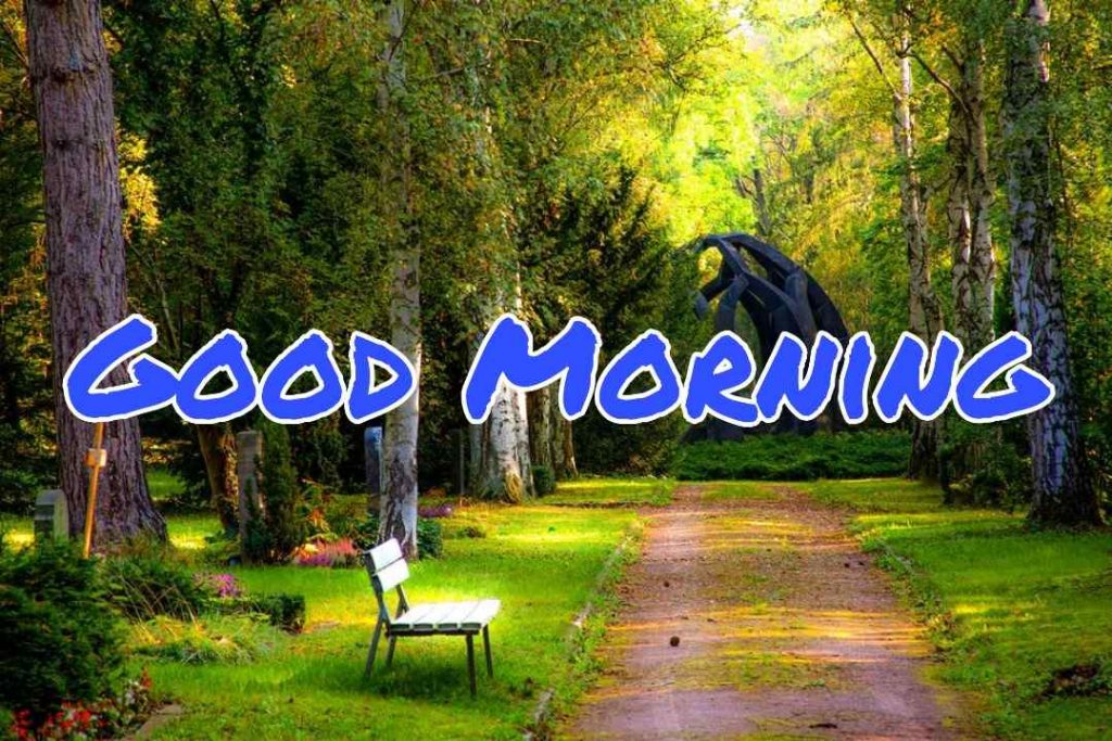 100+ Good Morning Nature Images HD Quotes Wishes - 2021 Collection