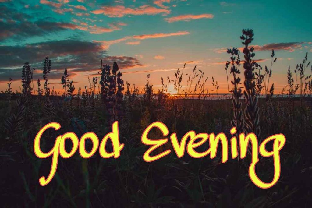 Best Good Evening Images for Whatsapp in 2021 1