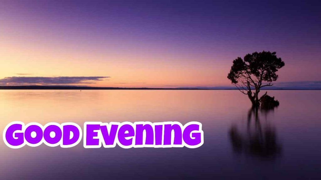 Best Good Evening Images for Whatsapp in 2021 2
