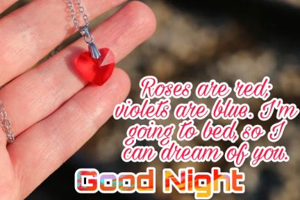 Good Night Shayari Images Pictures 2023 46 Good Night Shayari Images Pictures 2023 46