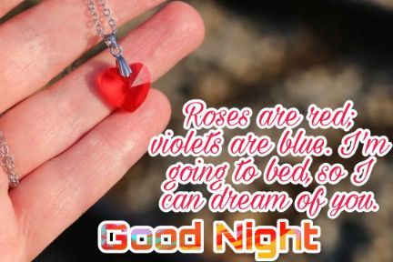 Good Night Shayari Images Pictures 2023 47