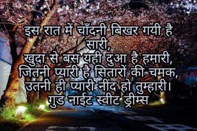 Good Night Shayari Images Pictures 2023 42