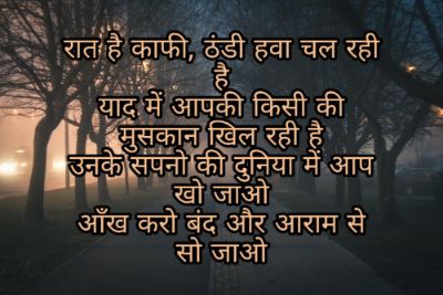 Good Night Shayari Images Pictures 2023 36 Good Night Shayari Images Pictures 2023 36