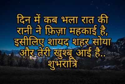 Good Night Shayari Images Pictures 2023 21