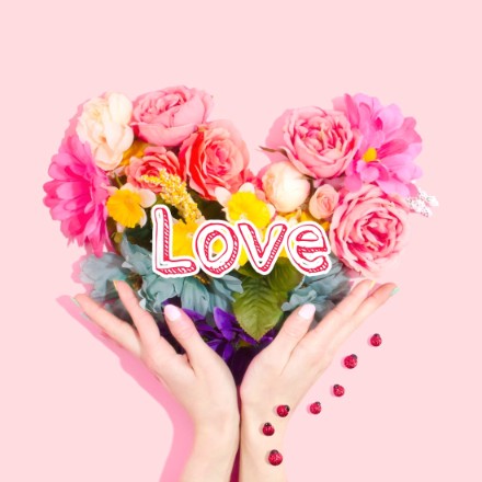 1001+ Latest Whatsapp DP Images 2023 124 1001+ Latest Whatsapp DP Images 2023 94