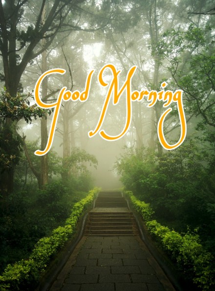 666+ Best Good Morning Images 2023 - Latest Collection 11