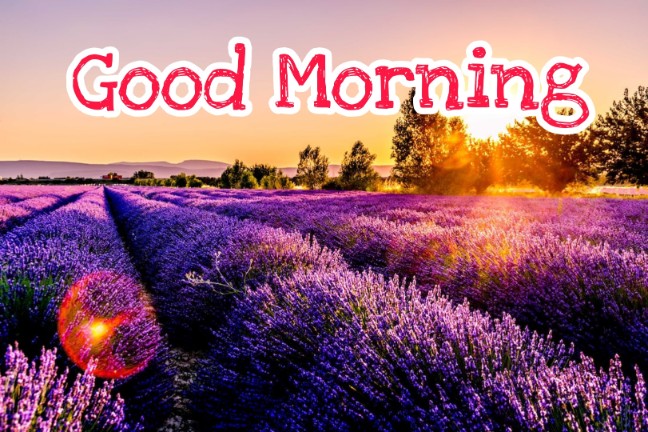 666+ Best Good Morning Images 2023 - Latest Collection 12