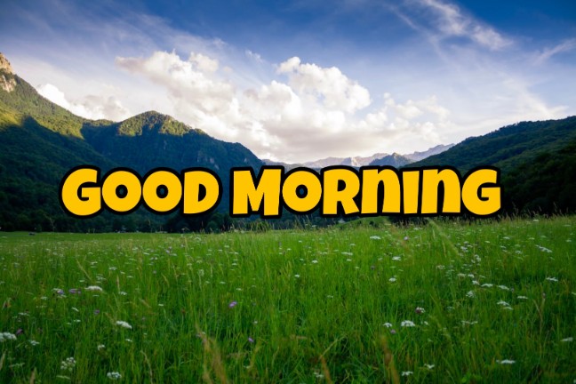 144+ Good Morning Nature Images 2023 109 144+ Good Morning Nature Images 2023 81