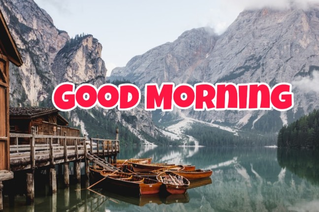 144+ Good Morning Nature Images 2023 120 144+ Good Morning Nature Images 2023 92