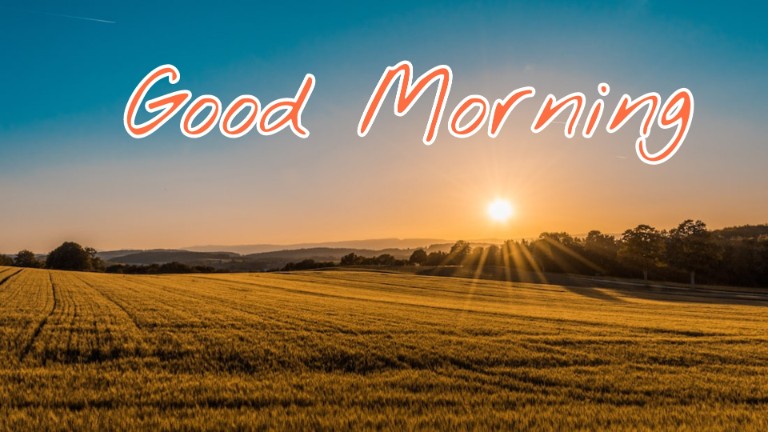 144+ Good Morning Nature Images 2023 101