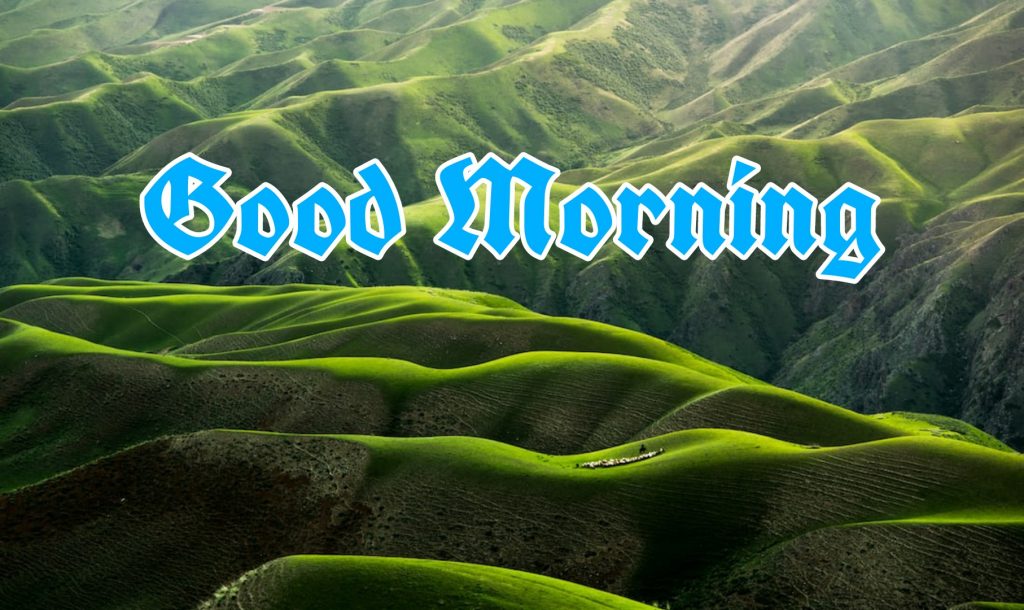 666+ Best Good Morning Images 2023 - Latest Collection 8