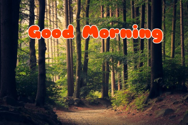 666+ Best Good Morning Images 2023 - Latest Collection 19