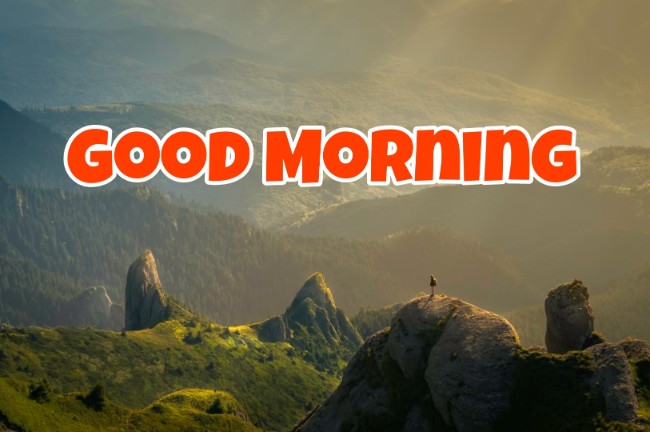 666+ Best Good Morning Images 2023 - Latest Collection 20