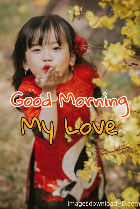 Good Morning Love Images 2023 30 Good Morning Love Images 2023 29