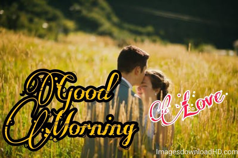 Good Morning Love Images 2023 26 Good Morning Love Images 2023 25