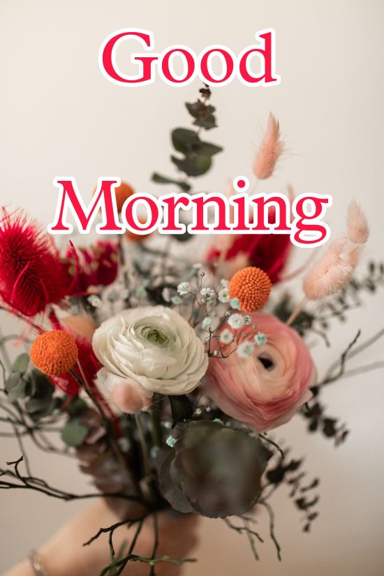 60+ Good Morning Flower Images 2023 17