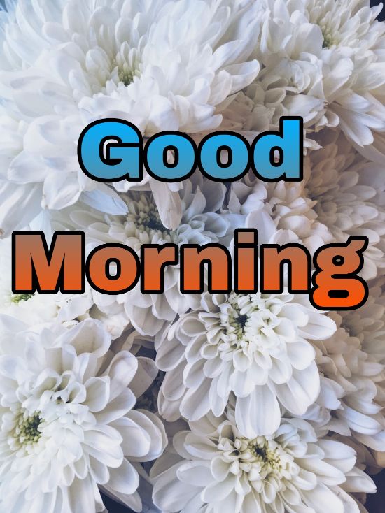 60+ Good Morning Flower Images 2023 21