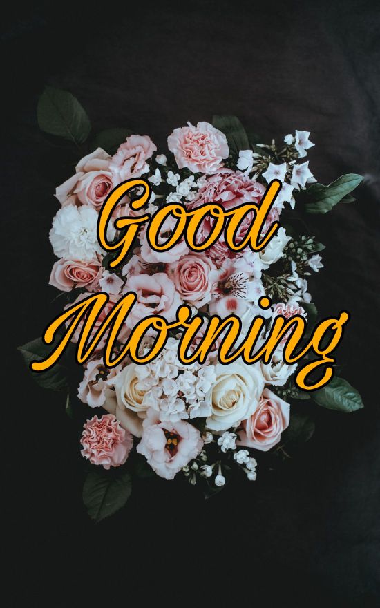 60+ Good Morning Flower Images 2023 25