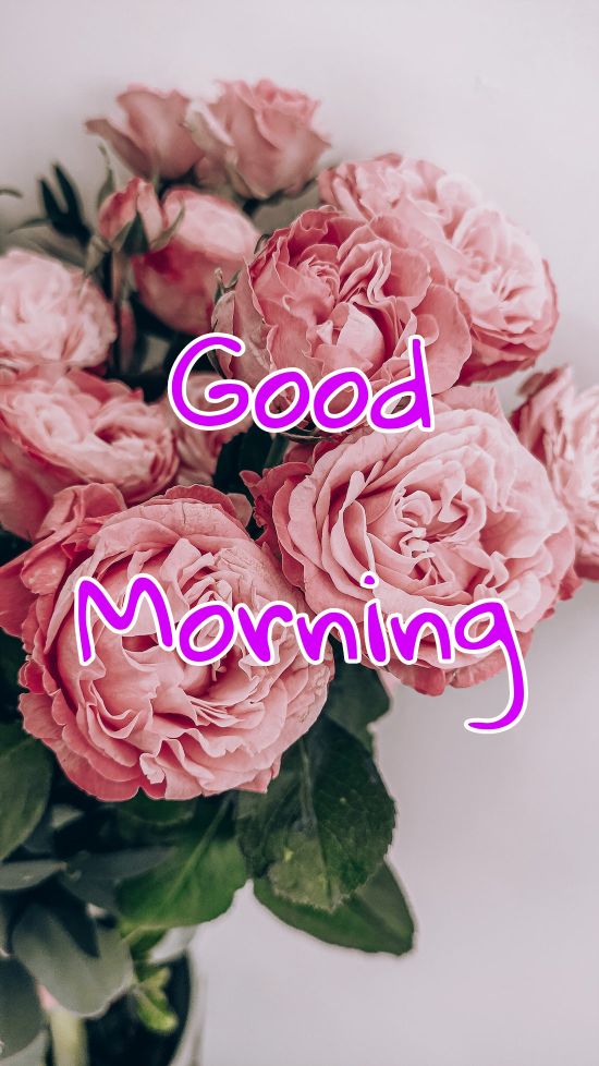 60+ Good Morning Flower Images 2023 35