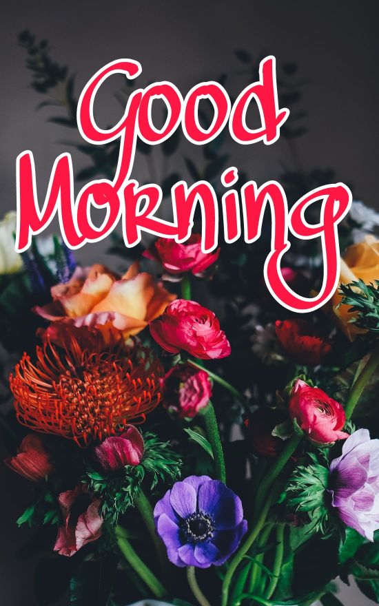 60+ Good Morning Flower Images 2023 34 60+ Good Morning Flower Images 2023 33
