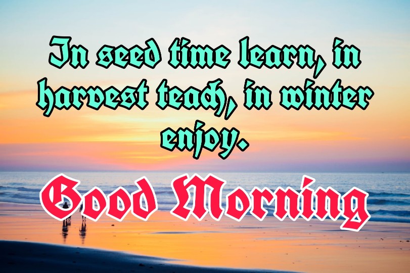 300+ Latest Good Morning Images with Quotes 2023 20 300+ Latest Good Morning Images with Quotes 2023 20
