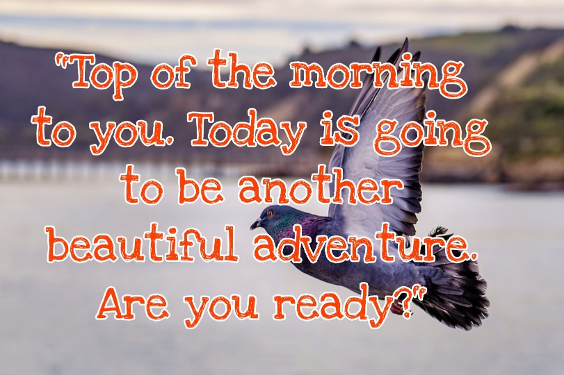300+ Latest Good Morning Images with Quotes 2023 25 300+ Latest Good Morning Images with Quotes 2023 25